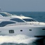 Majesty 63